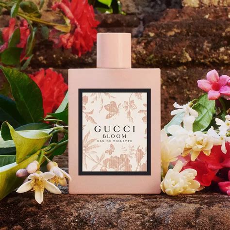 bloom gucci fragrantica|where to buy Gucci Bloom.